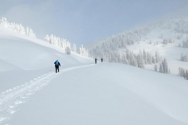 Skiing to Dunraven Pass